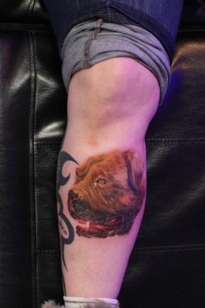 Portret tatoeage hond
