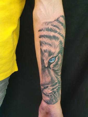 tiger tattoo