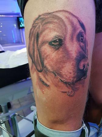 tattoo labrador