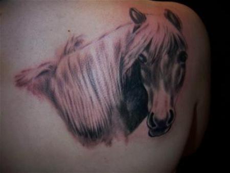 tattoo paard