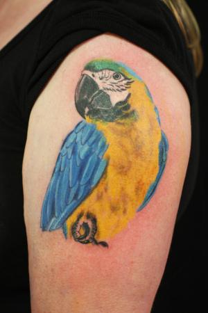 tattoo papegaai