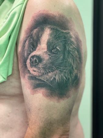 hond10-10.jpg