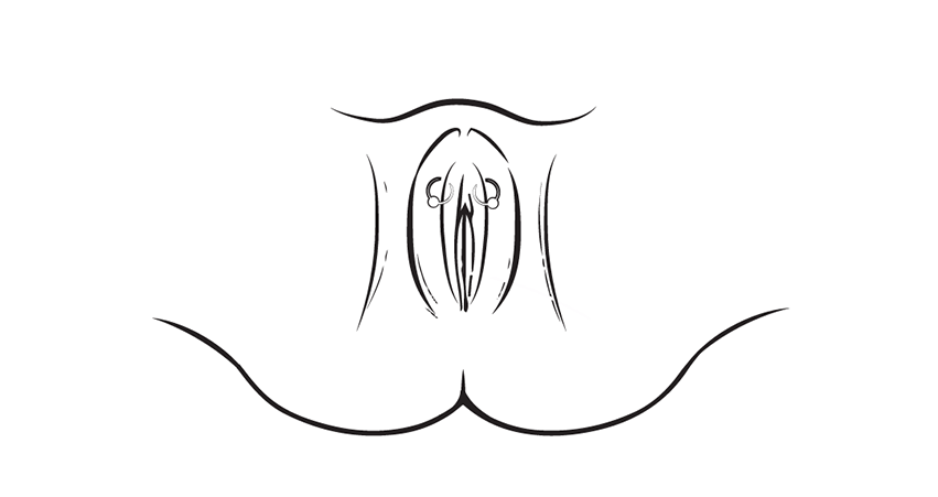 Vagina piercing - inner labia